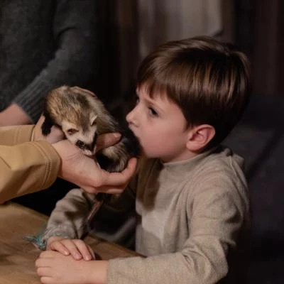 Enfant sent un furet