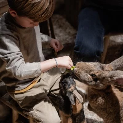 Enfant avec lapin