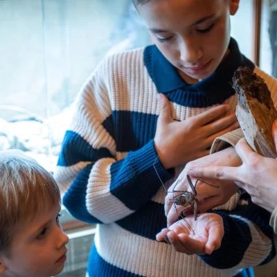 Enfant avec Amblypyge