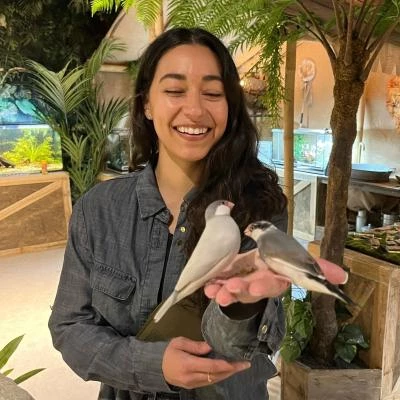 Adulte avec oiseaux