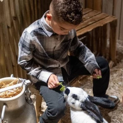 Enfant avec lapin