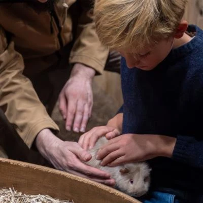 enfant avec cochon d'inde
