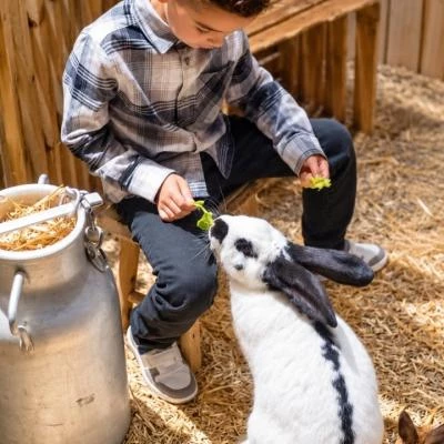 Enfant avec lapin