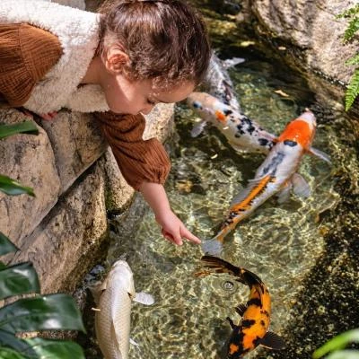 Enfant avec poissons