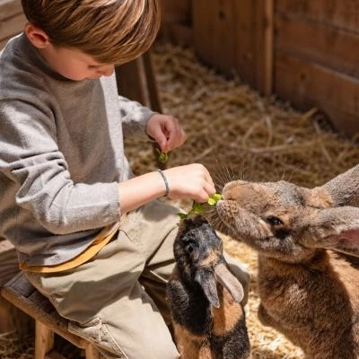 Enfant avec lapin