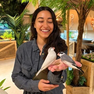 Adulte avec oiseaux