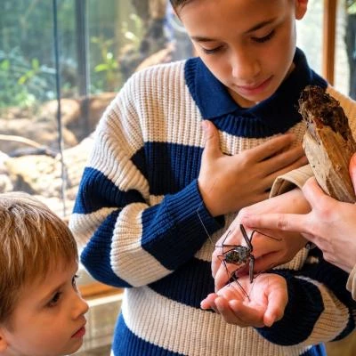 Enfant avec Amblypyge