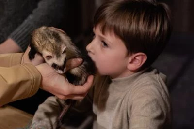 Enfant sent un furet