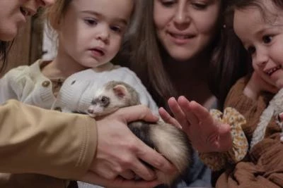 Famille avec furet