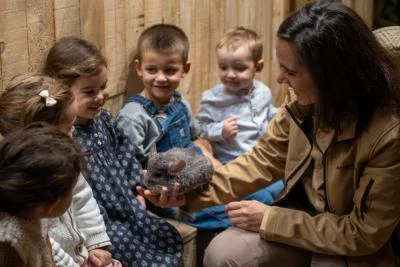 enfants qui caresse un chinchilla