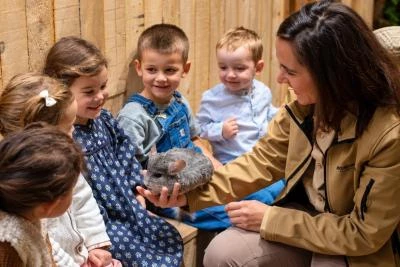 enfants qui caresse un chinchilla