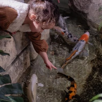 Enfant avec poissons