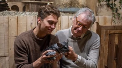 Adulte qui caressent un chinchilla