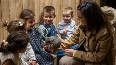enfants qui caresse un chinchilla