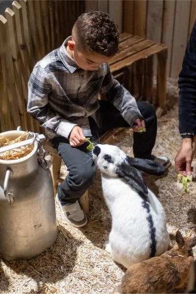 Enfant avec lapin