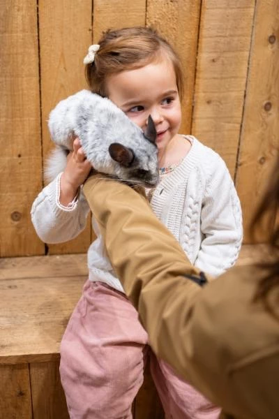 Visiteur avec un chinchilla