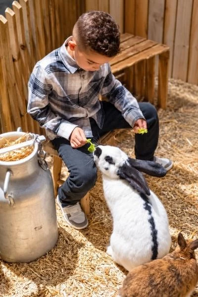 Enfant avec lapin