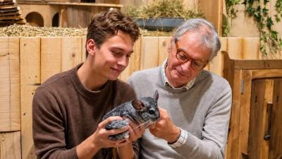 Adulte qui caressent un chinchilla